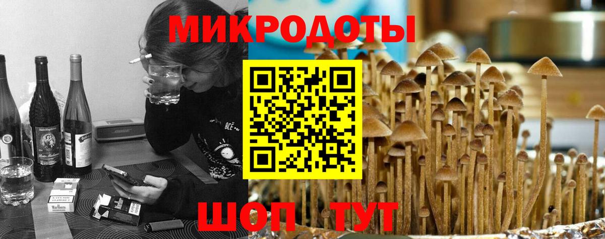 Псилоцибиновые грибы Psilocybine cubensis  Вход с VPN  наркошоп  Королёв 